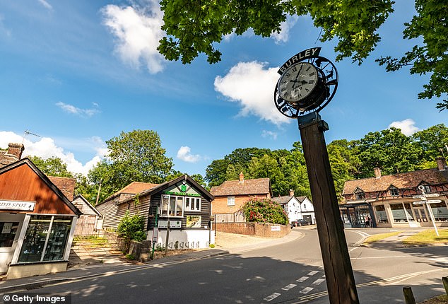 Burley is home to about 1,350 people and is set deep in the heart of the New Forest (file image)