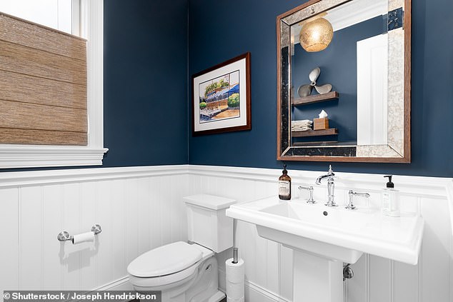 Tranquil: Emma Bestley says a dark blue hue is a timeless choice for the bathroom