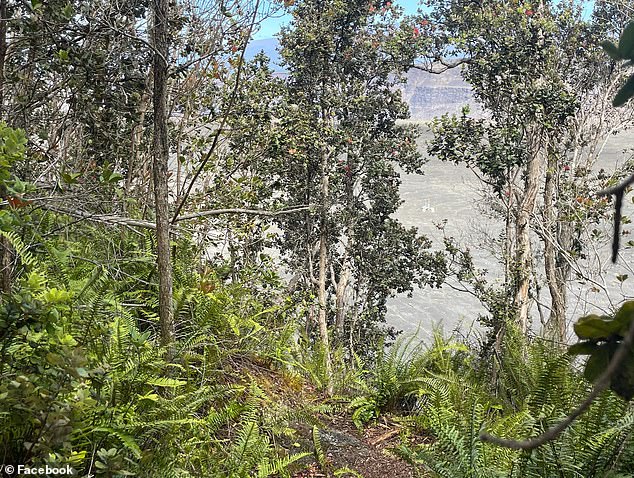 Employees of the major tourist attraction have warned other visitors not to stray from the park's trails (pictured)