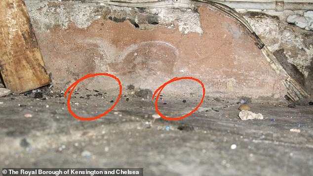 Kensington and Chelsea Council officers inspected the restaurant in September 2022 and found poor cleaning, inadequate pest control procedures and a failure to comply with a Hygiene Improvement Notice