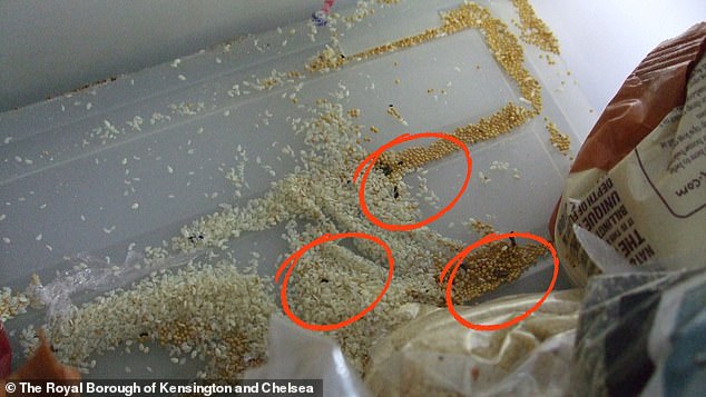 The duo admitted serious food offences, with the offences related to poor food hygiene practices