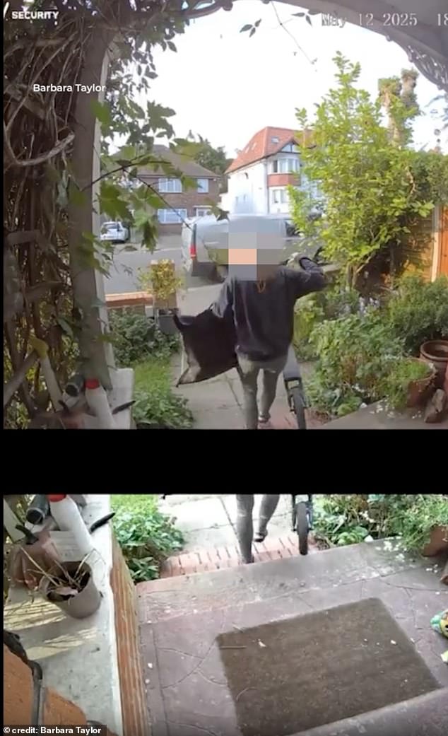 A 'furious' Barbara Graham-Taylor, 44, caught the opportunistic passerby peep into her front garden in North London and grab her son Leo's toy before shamelessly sauntering off