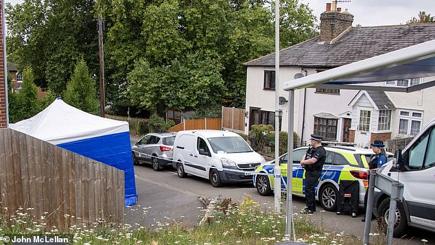 Essex Police and forensic officers at the scene in Pump Hill, Great Baddow, in 2023