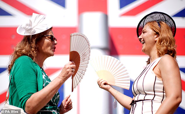 Keeping cool: Racegoers use paper fans to beat the hot temperatures at Ladies Day