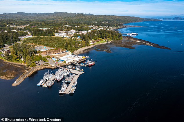 The TV executive has moved to Port Hardy, located on the northern tip of Vancouver Island in British Columbia (pictured) which is home to just 4,000 people
