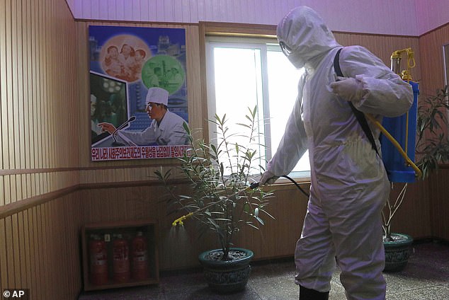 An official of the Hygienic and Anti-epidemic Center in Phyongchon District disinfect the corridor of a building in Pyongyang, North Korea, on Feb. 5, 2021