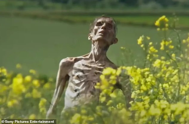 The Daily Mail's Brian Viner has described 28 Years Later as a 'hellish vision of Zombie Britain'
