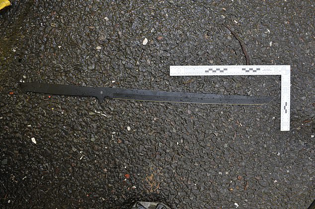Witnesses heard the victim's screams after Ahla Timofei set upon her with his sword, severing her thumb and leaving her with wounds to her face, arms and legs