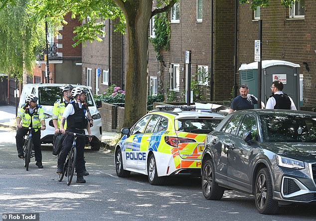 Police officers pictured on the estate on Thursday. The film director was stabbed to death in her council flat in Camden on Friday