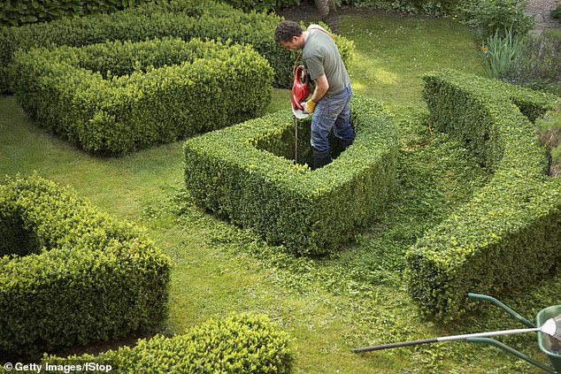 Ben Wicken was awarded more than £30,000 for unfair dismissal after his boss was left 'very disappointed' when he asked to work from home to supervise gardening work