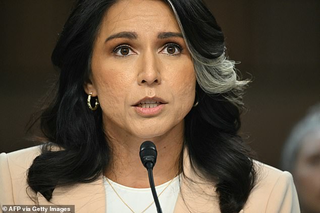 hen Tulsi Gabbard, Trump's Director of National Intelligence, opined before Congress that she didn't think Iran was trying to become a nuclear power Trump brusquely slapped her down: 'I don't care what she said' he snapped on Air Force One.