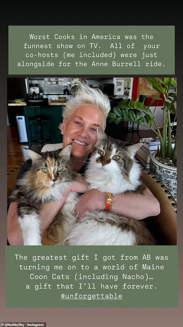The 60-year-old restaurateur used an Instagram Story to share a photo of Anne cuddling two of her cats as he revealed the most memorable token she gave him