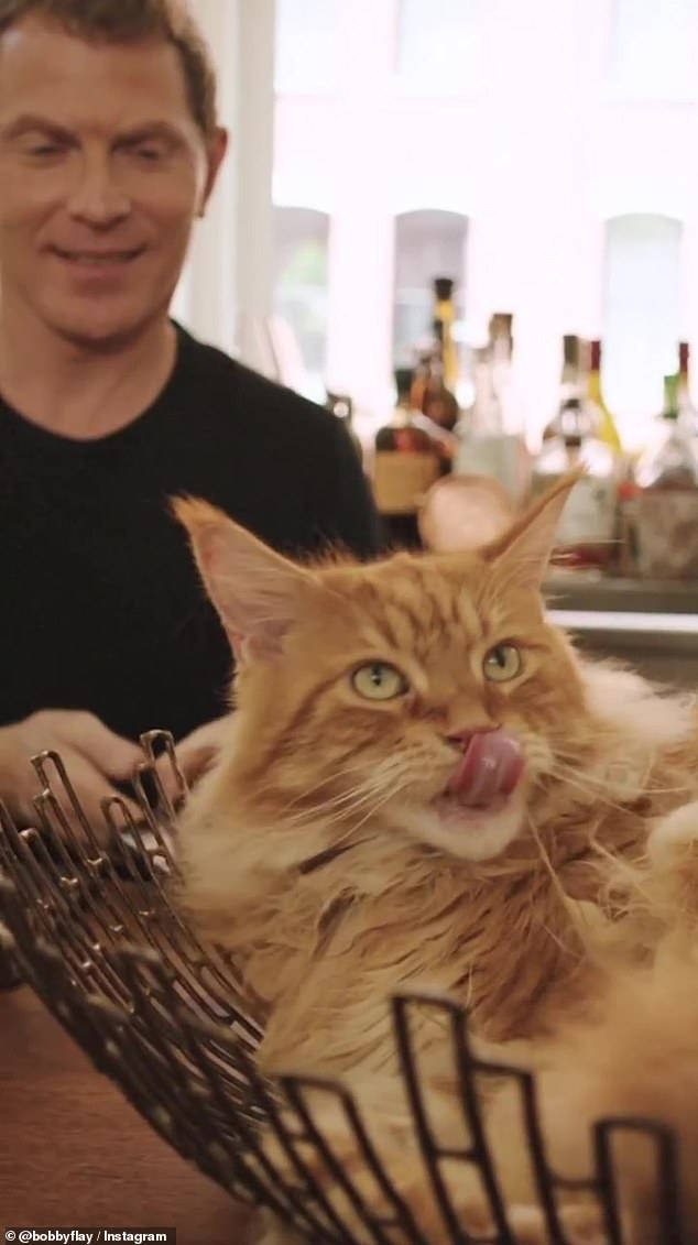 Burrell's impact on Flay was evident on Father's Day as he raved about being a 'cat dad.' The two chefs had a shared love for their animals, with Burrell often posting images of her cats online as well