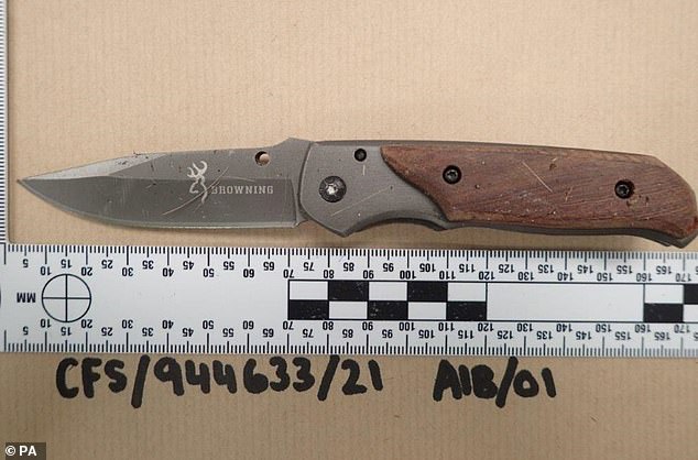 The knife Gilbertson used to stab Ava White