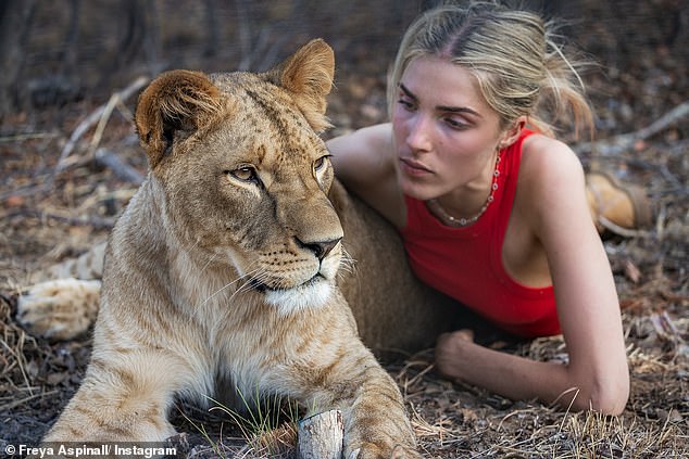 The conservationist and model, 21, boasts 1.5 million followers on Instagram and regularly gives fans an insight into her daily life surrounded by animals - but can you guess who the nepo baby and her famous parents are?