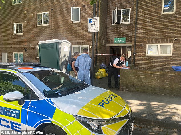 Police at the scene in Camden, north London where the 69-year-old was found stabbed in her home