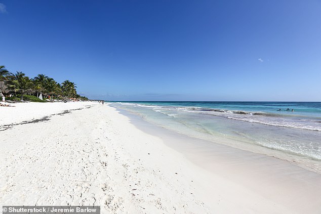 Savanna experienced sun, sand and intrusive questioning on a beach in Mexico