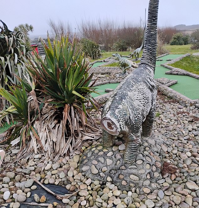 The site includes a mini golf course which the pensioner says is derelict
