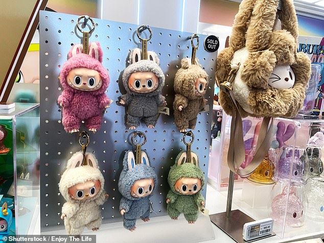 In recent months, the $30 toys have taken off in popularity, with kids and adults alike racing to get their hands on the plush accessories (stock image)