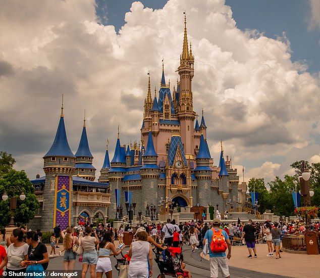 Lilly was previously slammed online after she refused to eat her meal at a Disney World restaurant because the waiter accidentally misgendered her (stock image)