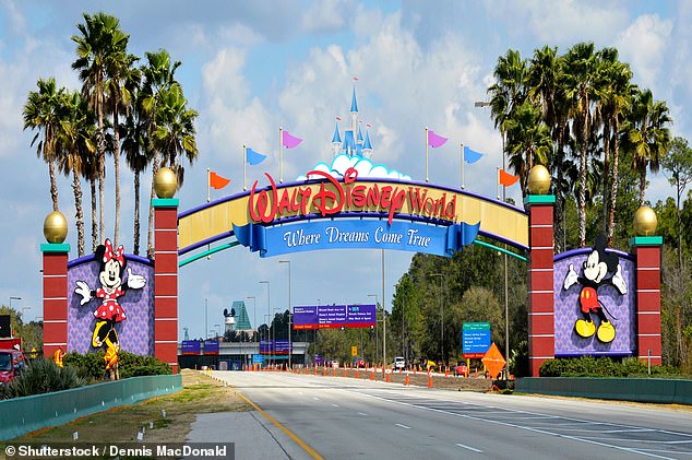 Transgender woman Lilly Contino took to Instagram and TikTok to share her dismay after a staff member at the Happiest Place On Earth addressed her as 'sir' by mistake (stock image)