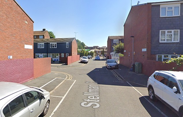 Pharrell Garcia was attacked with his own pocket knife in a park near Stellman Close in Stoke Newington (pictured), north London