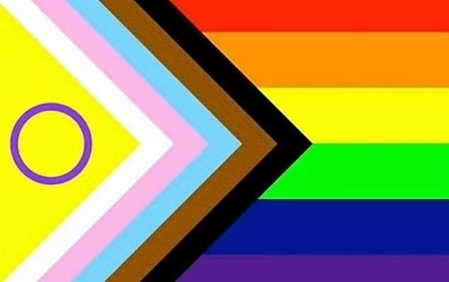 The extensive list includes an 'intersex-inclusive Pride flag', a 'polyamory Pride flag, and even a black and white 'heterosexual flag' for straight people, which it says can include transgender people. Pictured: The 'intersex-inclusive Pride flag'