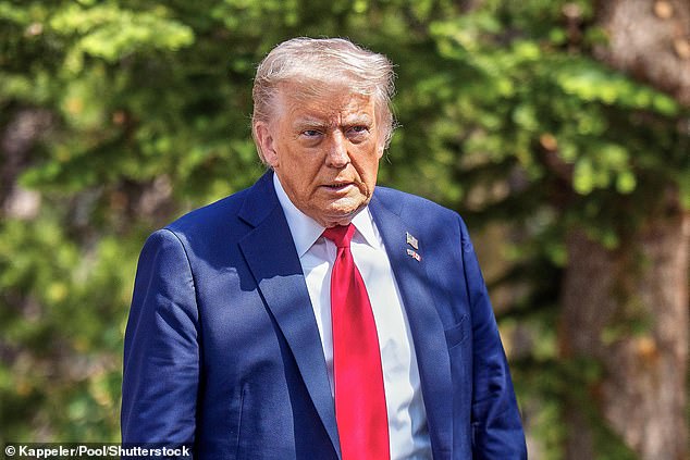 President Trump had long railed against the Biden administration for allegedly allowing the the then-President's son, Hunter, to profit off his White House proximity