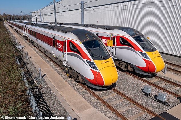 LNER awarded the contract for the central booking engine that supports its digital ticket sales to Australia's Vix Technology (file image)