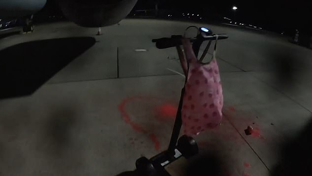 In the shocking footage shared by the activist group, red paint could also be seen on the runway, while protesters claimed they left a Palestine flag behind