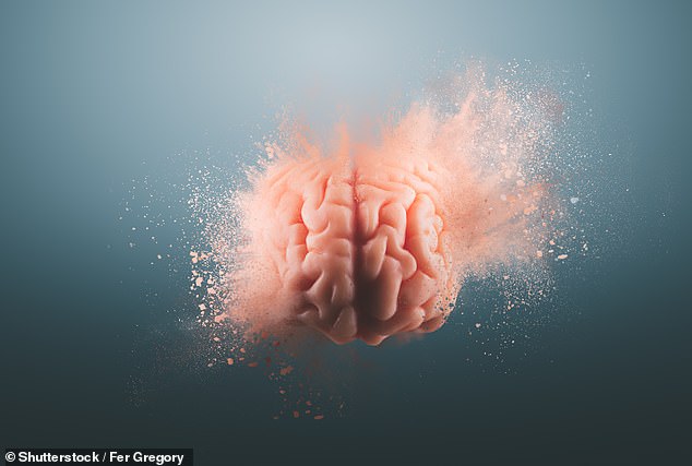 If a black hole hit your head, the gravitational forces would tear your brain apart at the cellular level. This would kill you in the microseconds it took for the black hole to pass through (stock image)