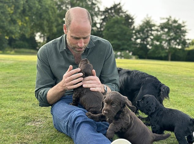 Kate Middleton's birthday post to Prince William (pictured) showed the royal playing with puppies