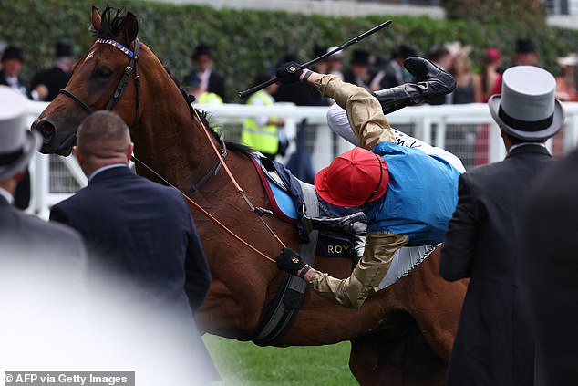 Jockey James Doyle fell off runner Lazzat after storming to victory on Saturday afternoon
