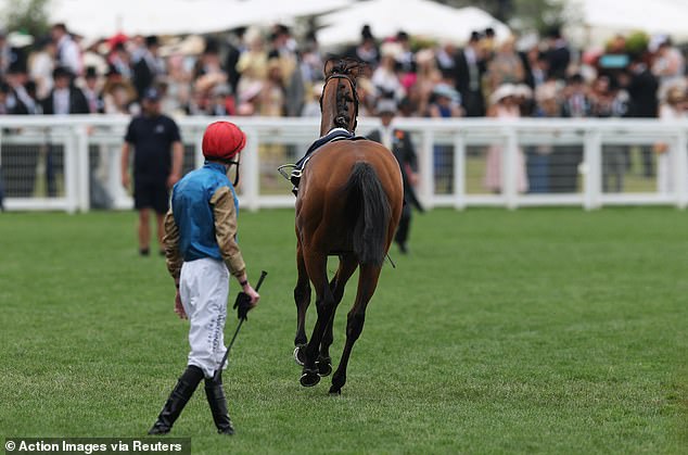 French runner Lazzat was left to gallop across the Royal Ascot race course freely on Saturday