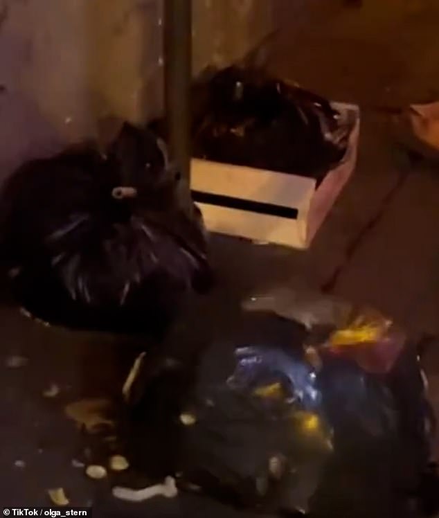In one particularly shocking video, a rat was seen scurrying across a pile of rubbish