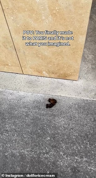 Faeces are often seen lying on the street
