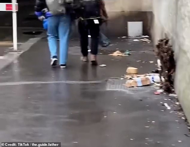 Paris' waste management system is ageing, and unable to keep up with the growing demand for public sanitation, according to one expert