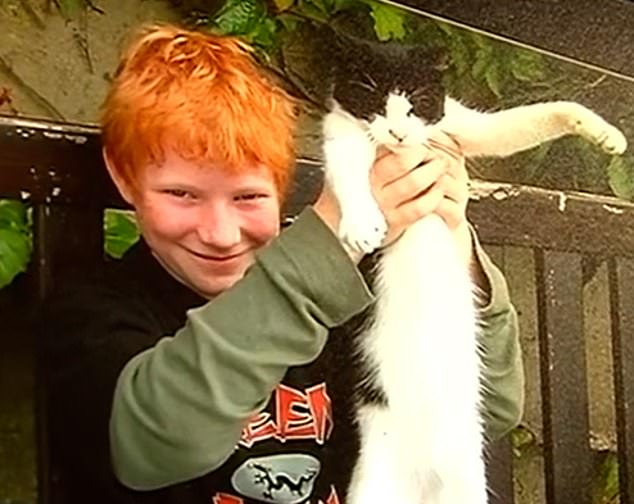 Other pictures which appear to have been taken at the Wexford house showed an older Sheeran cuddling a pet cat