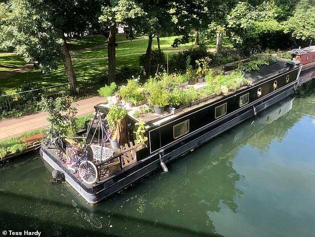 Before the fire, the house boat boasted its very own roof garden, which was known for its lush array of tomatoes, strawberries, aubergines, cucumbers and potatoes