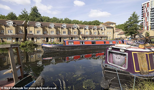 'Idyllic': Tess and Akin had enjoyed living on canal boats for the last decade until the fire