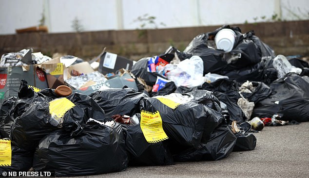Yellow 'crime scene' notices had been attached to another pile of flytipped waste, warning: 'This rubbish has been examined for evidence and will be removed soon'