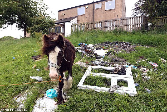 Figures show over 10,600 cases of fly-tipping were logged in Bradford in the last year alone - up from 10,193 in 2023-24