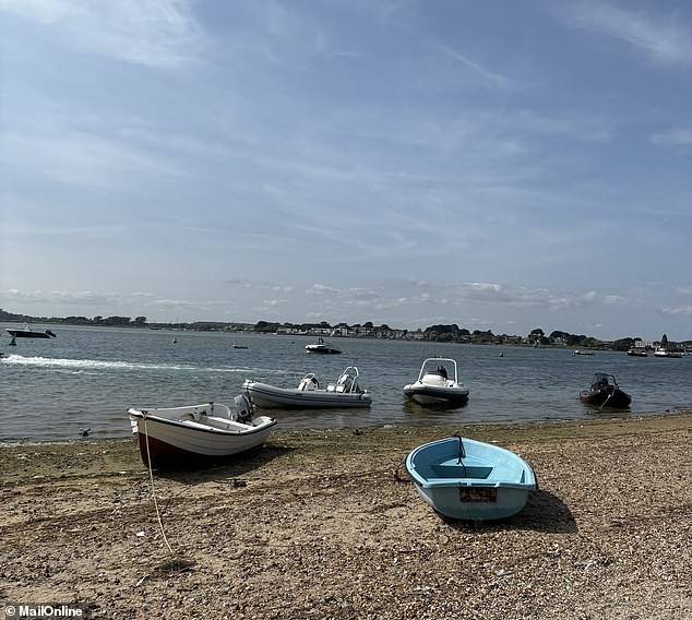 In total Mr Trickett said his application received 37 objections, with two subsequently withdrawn