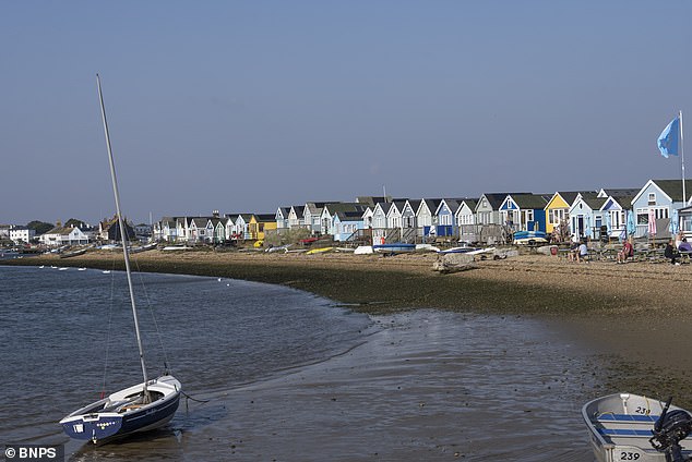The committee had concerns regarding the restaurant's ability to raise up and down with the tide