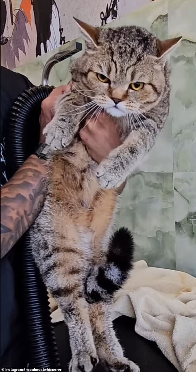 Donnie’s soothing videos have been called 'healing' by fans - one viewer even told him his clips helped cure her depression