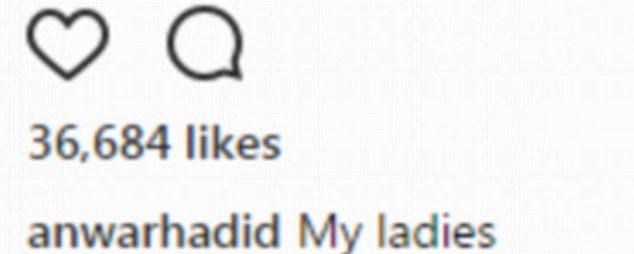 Model Anwar also shared the star-filtered snap with his own caption: 'My ladies'