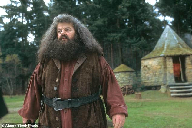 He is set to play the role Hagrid that was made famous by veteran actor Robbie Coltrane in the original film series, before his death in 2022
