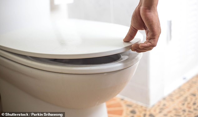 Keeping your phone out of the bathroom entirely can help prevent toilet-to-phone bacterial transfer, the expert points out (file photo)