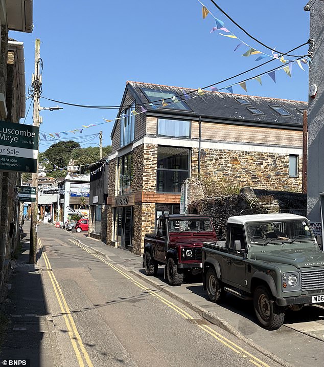 Salcombe is one of 12 parishes in the South Hams district, on Devon's south coast, which have adopted principal residency conditions 'to achieve sustainable communities'. Pictured: The flats