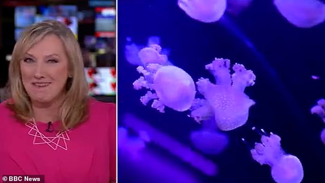 She also winked on an occasion and joked she was a 'beautiful creature' on a feature about sealife